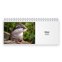 Otter 2024 Desk Calendar