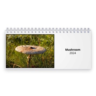 Mushroom 2024 Desk Calendar