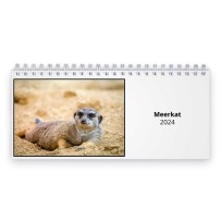 Meerkat 2024 Desk Calendar