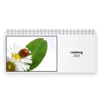 Ladybug 2024 Desk Calendar