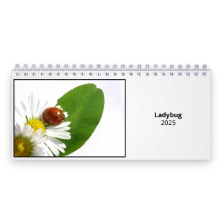 Ladybug 2024 Desk Calendar