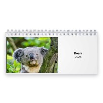Koala 2024 Desk Calendar