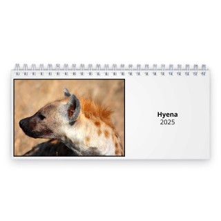 Hyena 2024 Desk Calendar