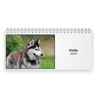 Husky 2024 Desk Calendar