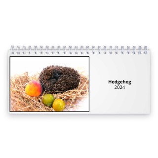 Hedgehog 2024 Desk Calendar