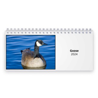 Goose 2024 Desk Calendar