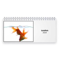 Goldfish 2024 Desk Calendar