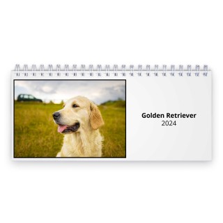 Golden Retriever 2024 Desk Calendar