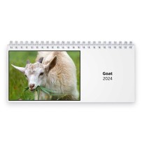 Goat 2024 Desk Calendar