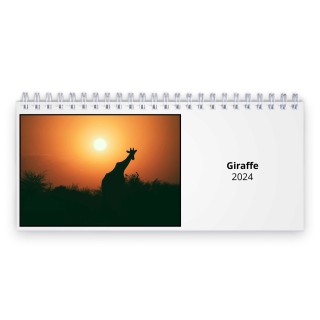 Giraffe 2024 Desk Calendar
