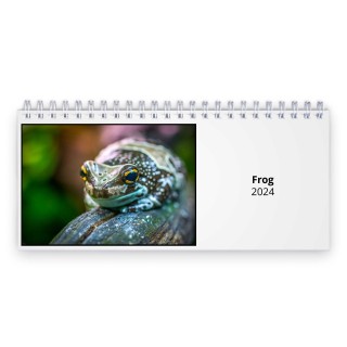 Frog 2024 Desk Calendar