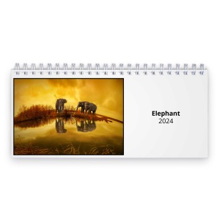 Elephant 2024 Desk Calendar