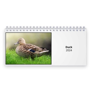 Duck 2024 Desk Calendar
