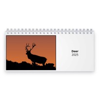 Deer 2024 Desk Calendar