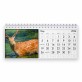 Deer 2024 Desk Calendar