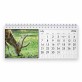 Deer 2024 Desk Calendar