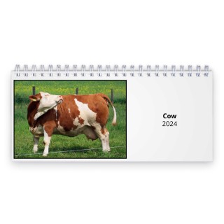 Cow 2024 Desk Calendar