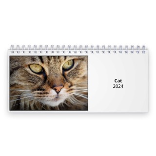 Cat 2024 Desk Calendar