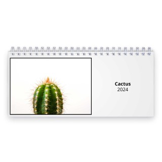 Cactus 2024 Desk Calendar