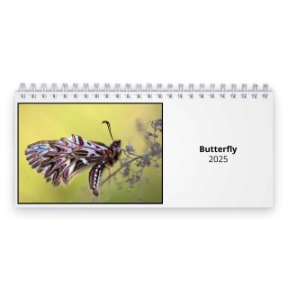 Butterfly 2024 Desk Calendar