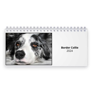 Border Collie 2024 Desk Calendar