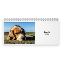 Beagle 2024 Desk Calendar