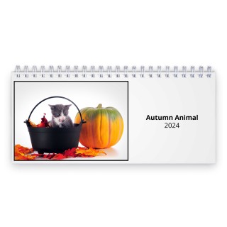 Autumn Animal 2024 Desk Calendar