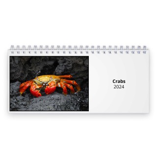 Crabs 2024 Desk Calendar