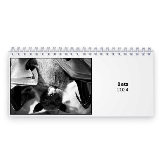 Bats 2024 Desk Calendar