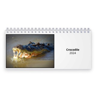 Crocodile 2024 Desk Calendar