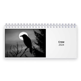 Crow 2024 Desk Calendar