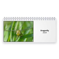 Dragonfly 2024 Desk Calendar