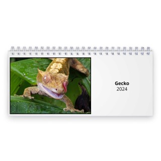 Gecko 2024 Desk Calendar