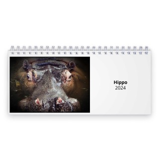 Hippo 2024 Desk Calendar