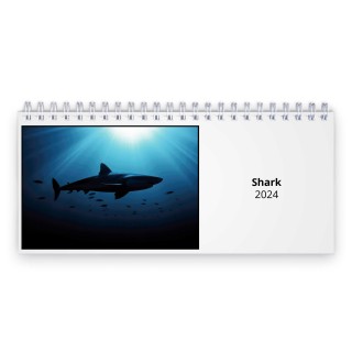 Shark 2024 Desk Calendar