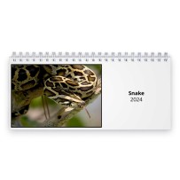 Snake 2024 Desk Calendar