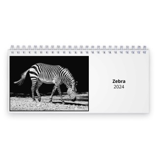 Zebra 2024 Desk Calendar