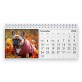 French Bulldog 2024 Desk Calendar