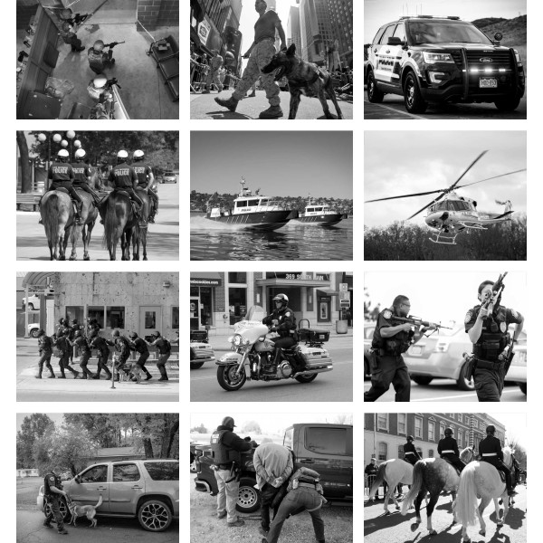 Tactical Response (Vol. II)