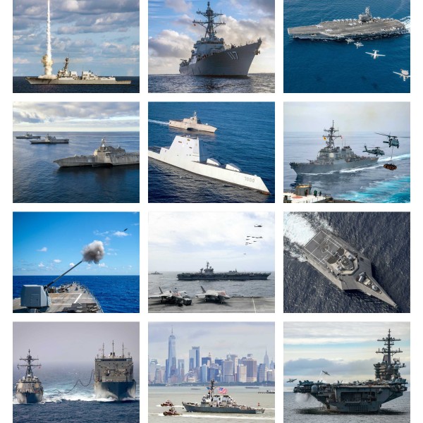 Marine Mayhem (Vol. II)