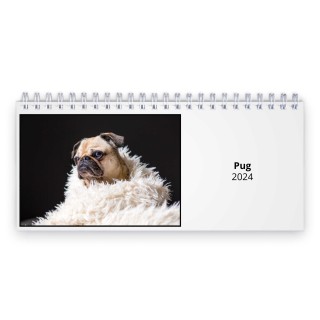 Pug 2024 Desk Calendar