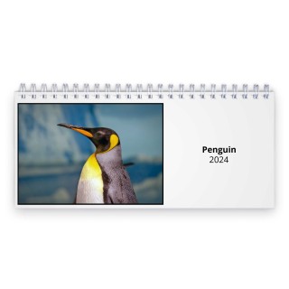 Penguin 2024 Desk Calendar