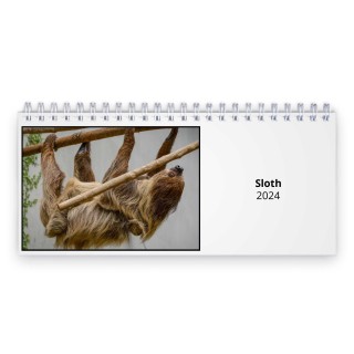 Sloth 2024 Desk Calendar
