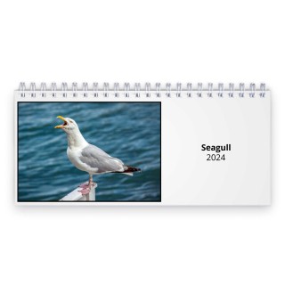 Seagull 2024 Desk Calendar