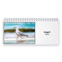 Seagull 2026 Desk Calendar