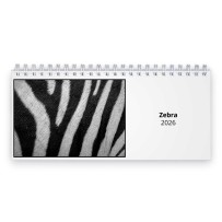 Zebra 2026 Tischkalender