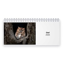 Owl 2026 Desk Calendar