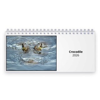 Crocodile 2026 Desk Calendar