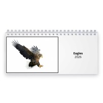Eagles 2026 Desk Calendar