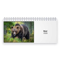 Bjørn 2026 Skrivebordskalender